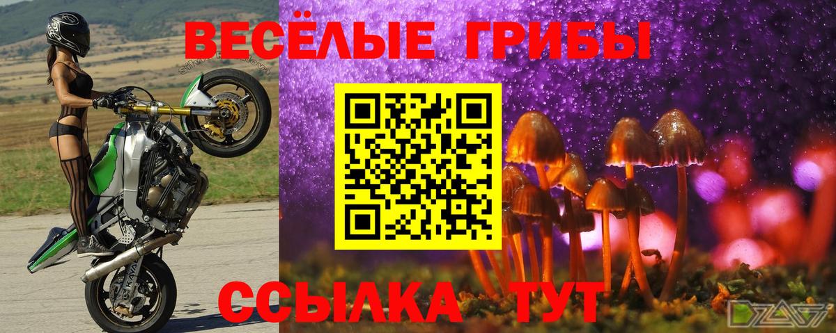 Псилоцибиновые грибы MAGIC MUSHROOMS Ялуторовск