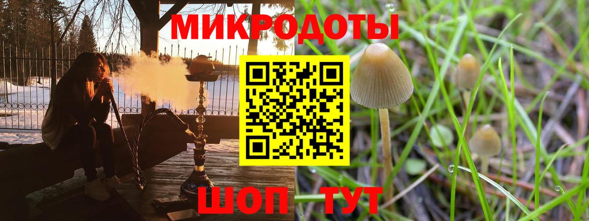 Псилоцибиновые грибы Cubensis  Галлюциногенные грибы мухоморы  Ялуторовск  Вход с VPN 