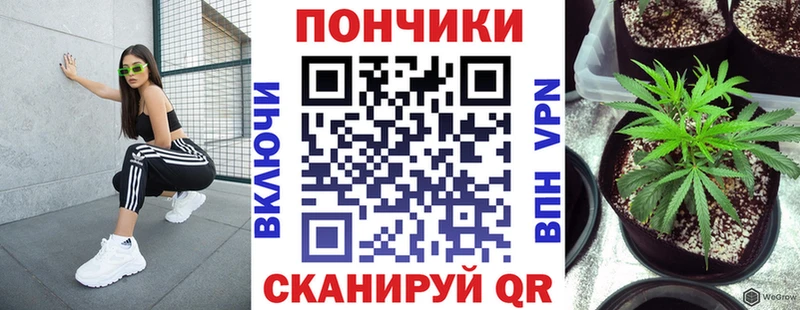 где купить наркотик  Ялуторовск  hydra рабочий сайт  Конопля Amnesia 